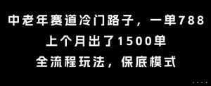 中老年赛道冷门路子，一单788，上个月出了1500单，全流程玩法，保底模式【揭秘】-风淘社