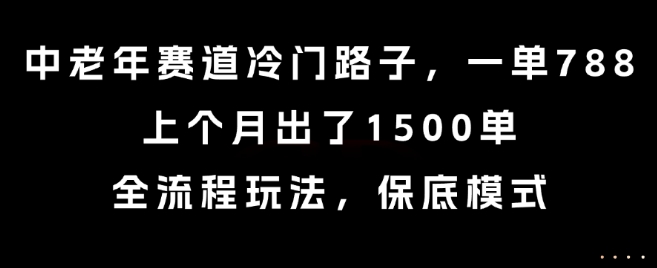 中老年赛道冷门路子，一单788，上个月出了1500单，全流程玩法，保底模式【揭秘】-风淘社