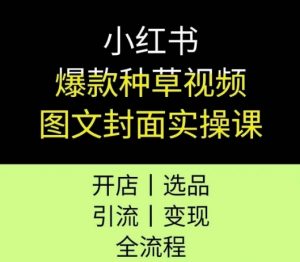 小红书爆款种草视频图文封面实操课,开店、选品、引流、变现全流程-风淘社