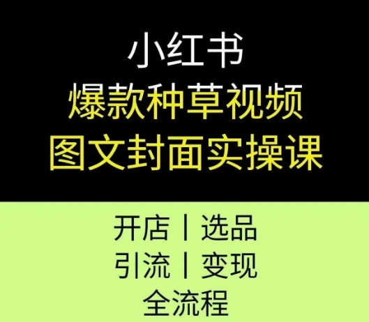 小红书爆款种草视频图文封面实操课,开店、选品、引流、变现全流程-风淘社