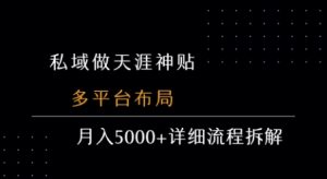 私域做天涯神贴 多平台布局 月入5k+详细流程拆解-风淘社
