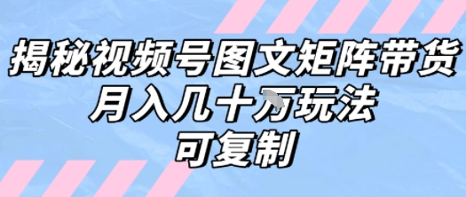 解密视频号图文矩阵带货,月入几个W的打法,可复制-风淘社
