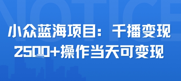小众蓝海项目,千播变现2.5k+操作当天可变现-风淘社