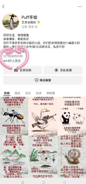 Puff手绘视频号分成项目，三天过分成计划，简单易上手，适合新手-风淘社
