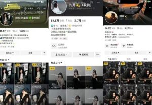 抖音图文文案赛道新玩法,快速养号起号,广告收益分成+橱窗带货+教学收徒等-风淘社
