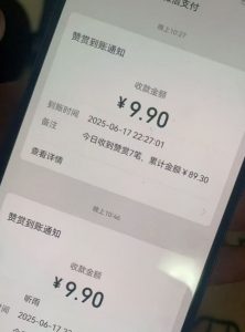 二次元男粉快速变现项目,私域卖虚拟产品,百分利润-风淘社