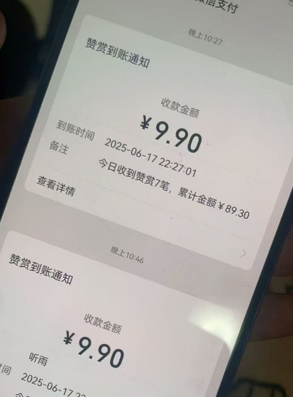 二次元男粉快速变现项目,私域卖虚拟产品,百分利润-风淘社