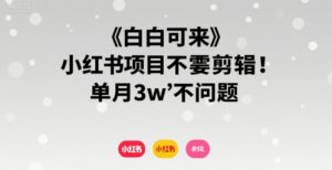 小白可来 小红书项目不需要剪辑 单月3w不是问题-风淘社