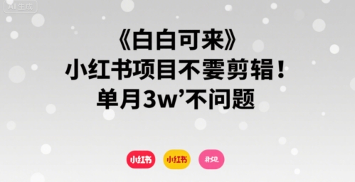 小白可来 小红书项目不需要剪辑 单月3w不是问题-风淘社