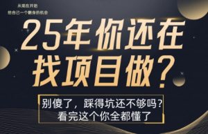 25年,你还在疯狂的找项目吗?别傻了,看完这个你都懂了【揭秘】-风淘社