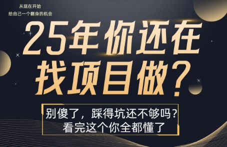 25年,你还在疯狂的找项目吗?别傻了,看完这个你都懂了【揭秘】-风淘社