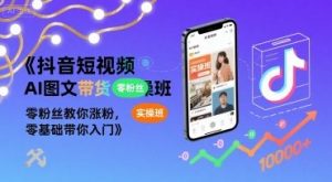抖音短视频AI图文带货实操班,零粉丝教你涨粉,零基础带你入门-风淘社