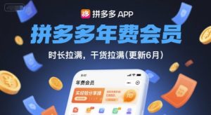 拼多多年费会员,实经验分享操,时长拉满,干货拉满(更新8月)-风淘社