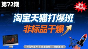 淘宝天猫打爆班原创高阶技术第72期,非标品干爆-风淘社
