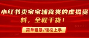 小红书卖宝宝辅食类的虚拟资料，从引流到私域变现，全程干货，简单粗暴，轻松上手-风淘社