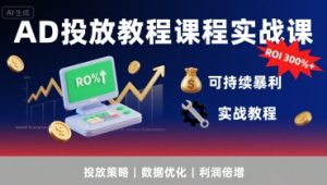 AD投放教程课程实战课,实现广告ROI300%+可持续暴利-风淘社