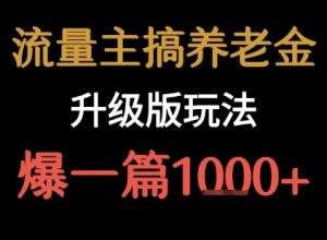 流量主之养老金升级版玩法 爆一篇收益1k+-风淘社