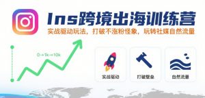 Ins跨境出海训练营,实战驱动玩法,打破不涨粉怪象,玩转社媒自然流量-风淘社
