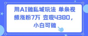 用AI做私域玩法，单条视频涨粉7W变现4.3k，小白可做-风淘社