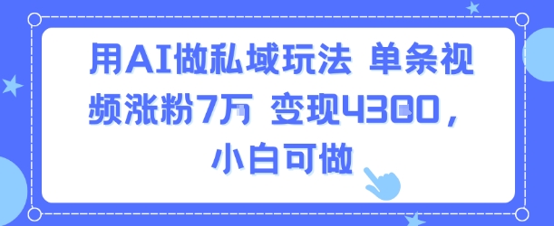 用AI做私域玩法,单条视频涨粉7W变现4.3k,小白可做-风淘社