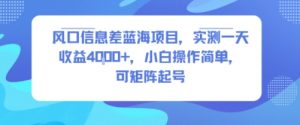 风口信息差蓝海项目，实测一天收益4k+，小白操作简单，可矩阵起号-风淘社