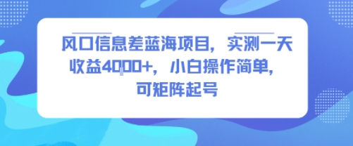 风口信息差蓝海项目,实测一天收益4k+,小白操作简单,可矩阵起号-风淘社
