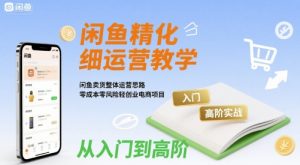 闲鱼精细化运营入门+高阶实战教学,闲鱼卖货整体运营思路,零成本零风险轻创业电商项目-风淘社
