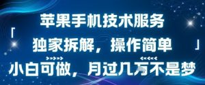 苹果手机技术服务,独家拆解,操作简单,小白可做,月过1W不是梦-风淘社