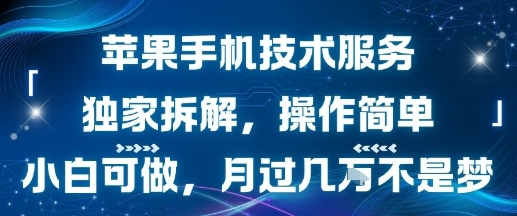 苹果手机技术服务,独家拆解,操作简单,小白可做,月过1W不是梦-风淘社