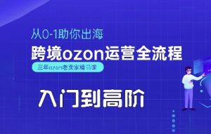 OZON入门到高阶全流程,从0-1助你出海,跨境ozon运营全流程-风淘社