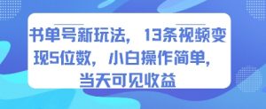 书单号新玩法，13条视频变现5位数，小白操作简单，当天可见收益-风淘社