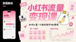小红书流量变现课,如何从第一个粉丝就开始挣钱-风淘社