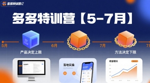 多多特训营【5-7月】产品决定上限，方法决定下限，各种玩法技巧落地实操-风淘社