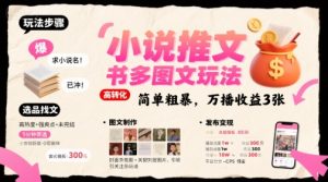 小说推文小红书多图文玩法,简单粗暴,万播收益3张-风淘社