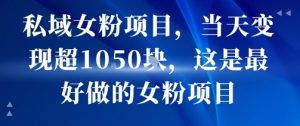 私域女粉项目，当天变现超1k，这是最好做的女粉项目，可放大操作-风淘社