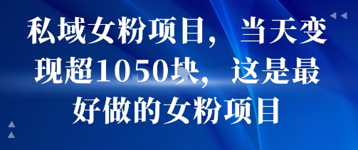 私域女粉项目，当天变现超1k，这是最好做的女粉项目，可放大操作-风淘社