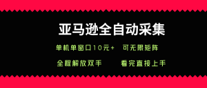 亚马逊全自动采集,单机单窗口一天10+,可无限矩阵去做【揭秘】-风淘社
