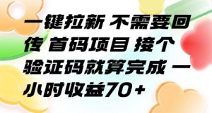 一键拉新 不需要回传 首码项目 接个验证码就算完成 一小时收益70+【揭秘】-风淘社