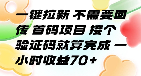 一键拉新 不需要回传 首码项目 接个验证码就算完成 一小时收益70+【揭秘】-风淘社