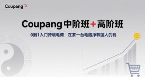 Coupang中阶班+高阶班,0到1入门跨境电商,在家一台电脑挣韩国人的钱-风淘社