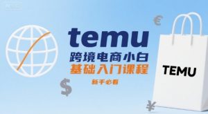 temu跨境电商小白基础入门课程,新手必看-风淘社