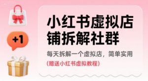 小红书虚拟店铺拆解社群，每天拆解一个虚拟店，简单实用(赠送小红书虚拟教程)-风淘社
