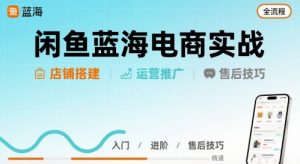 闲鱼蓝海电商实战，店铺搭建运营售后全流程-风淘社