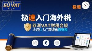 极速入门海外税,欧洲VAT财税合规,从0到1入门跨境电商财税-风淘社