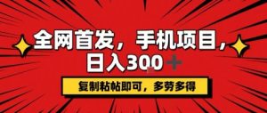 手机项目,日入3张+,复制黏贴即可,可矩阵操作,动手不动脑【揭秘】-风淘社