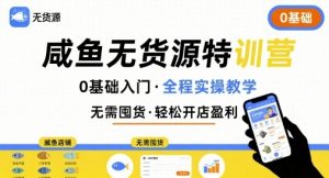 无货源特训营，0基础带你玩转咸鱼无货源-风淘社
