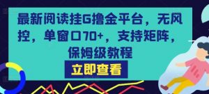 最新阅读挂G撸金平台，无风控，单窗口70+，支持矩阵，保姆级教程【揭秘】-风淘社
