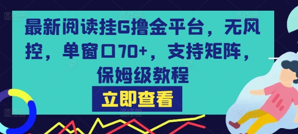 最新阅读挂G撸金平台，无风控，单窗口70+，支持矩阵，保姆级教程【揭秘】-风淘社