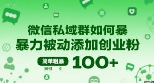 微信私域群如何暴力被动添加创业粉，简单粗暴，日引100+-风淘社