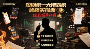 短剧榜一大佬霸榜秘籍实操课，短剧爆单秘籍-风淘社